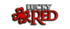no deposit casino